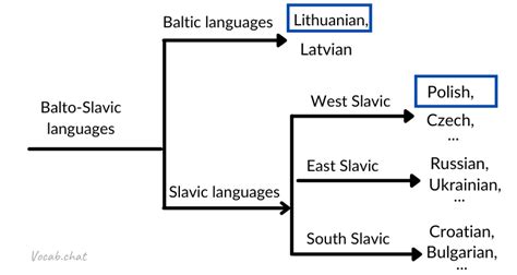 what languages are similar to polish